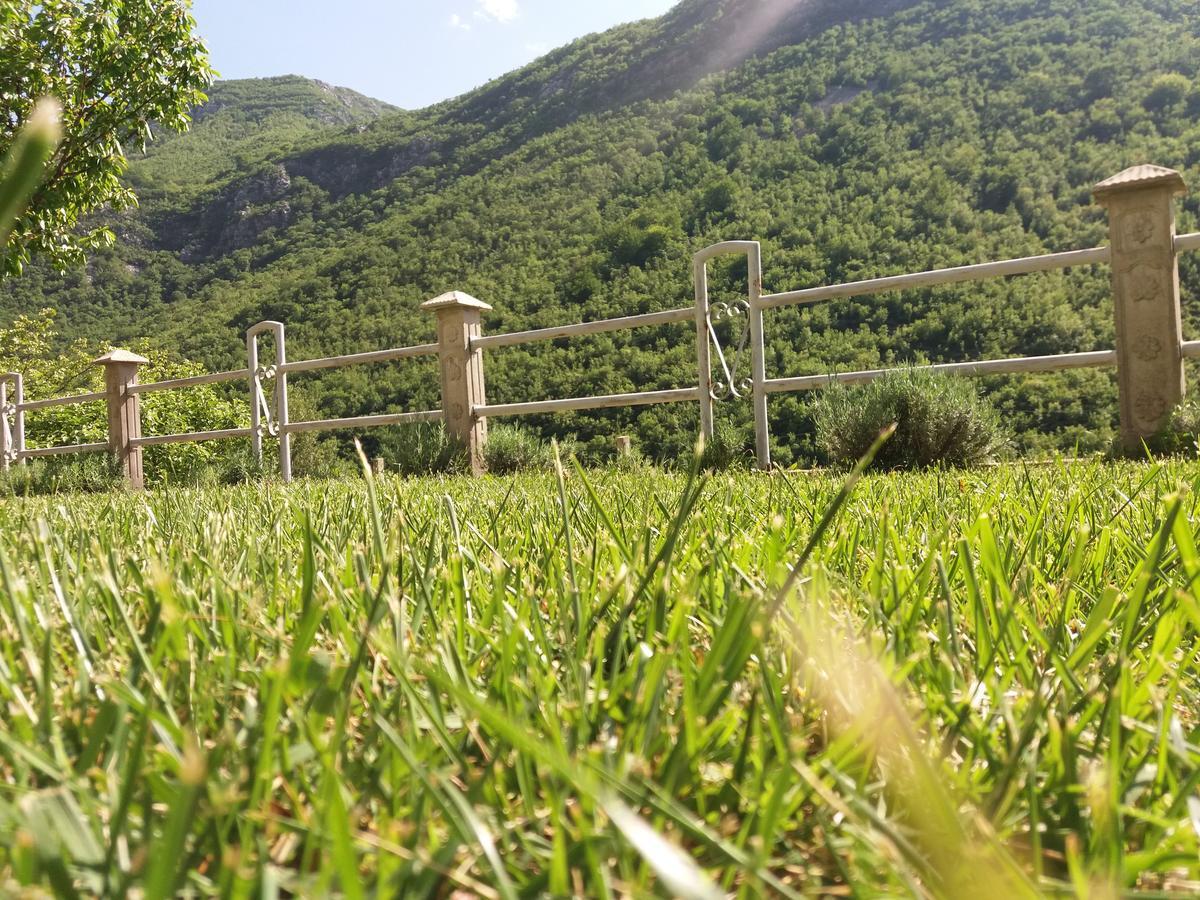 Kuca Lavanda Dreznjak Εξωτερικό φωτογραφία