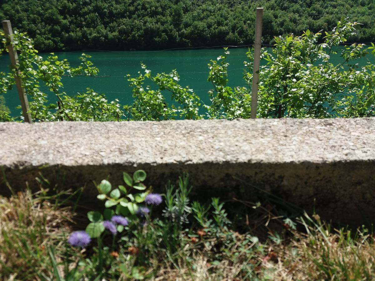 Kuca Lavanda Dreznjak Εξωτερικό φωτογραφία