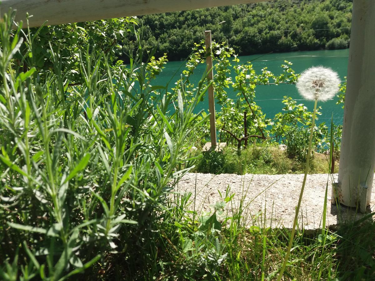 Kuca Lavanda Dreznjak Εξωτερικό φωτογραφία