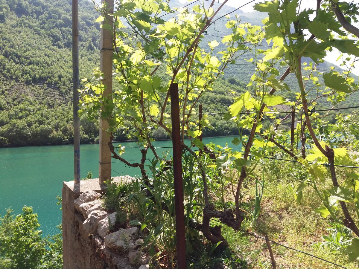 Kuca Lavanda Dreznjak Εξωτερικό φωτογραφία