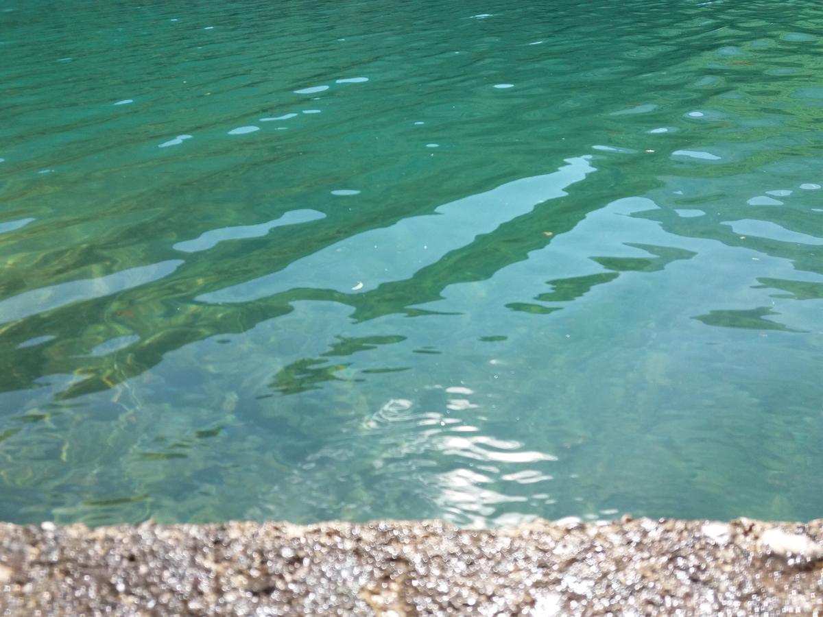 Kuca Lavanda Dreznjak Εξωτερικό φωτογραφία