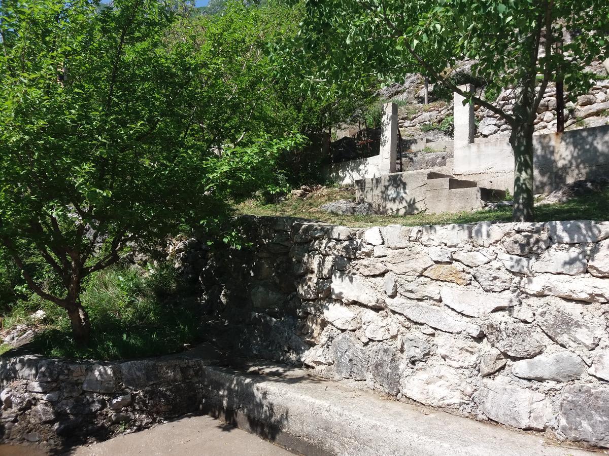 Kuca Lavanda Dreznjak Εξωτερικό φωτογραφία