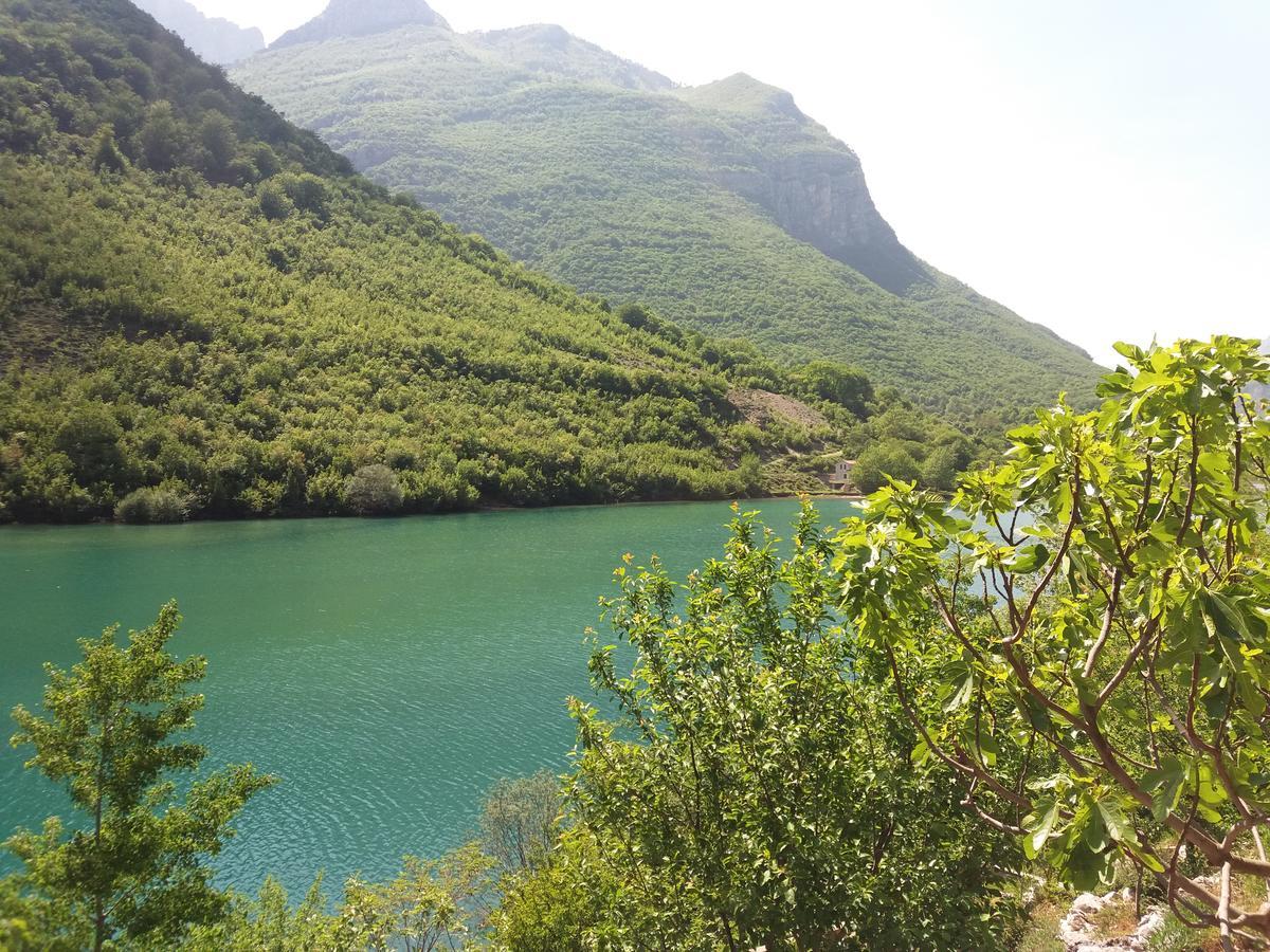 Kuca Lavanda Dreznjak Εξωτερικό φωτογραφία