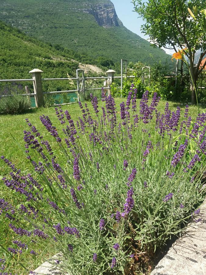 Kuca Lavanda Dreznjak Εξωτερικό φωτογραφία